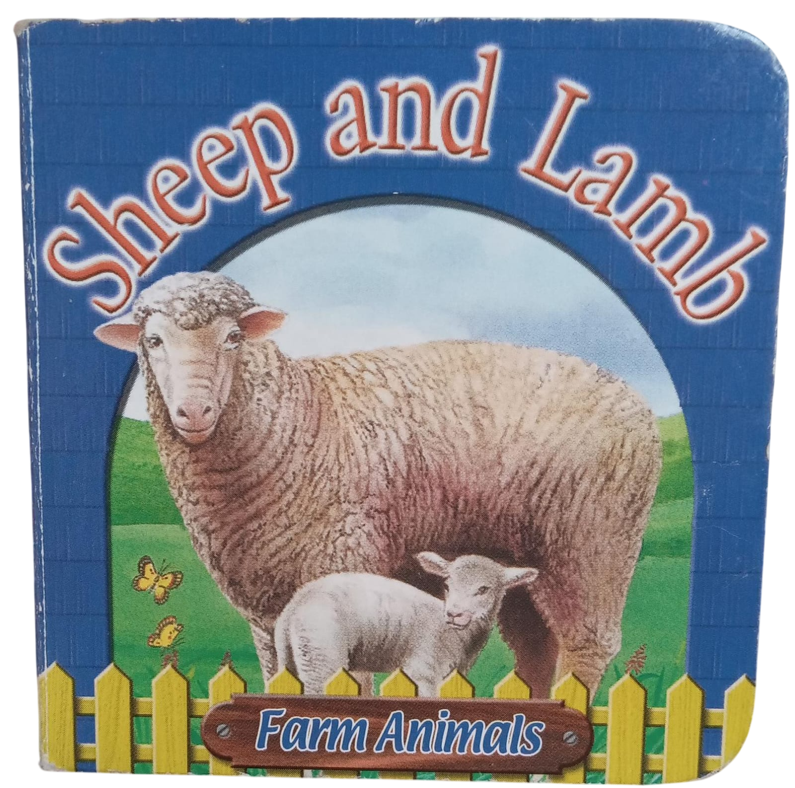Farm Animals : Sheep And Lamb