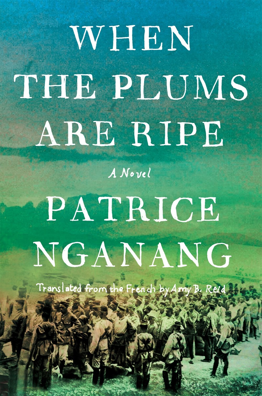 When the Plums Are Ripe book by Patrice Nganang