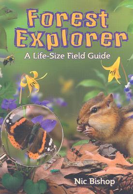 Forest Explorer : A Life-Sized Field Guide