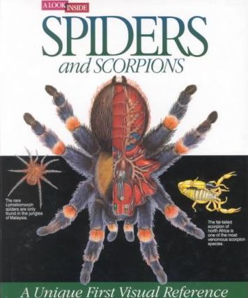 Spiders and Scorpions : A Look Inside Series
