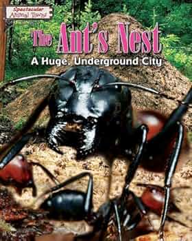 The Ant's Nest book by Miriam Aronin