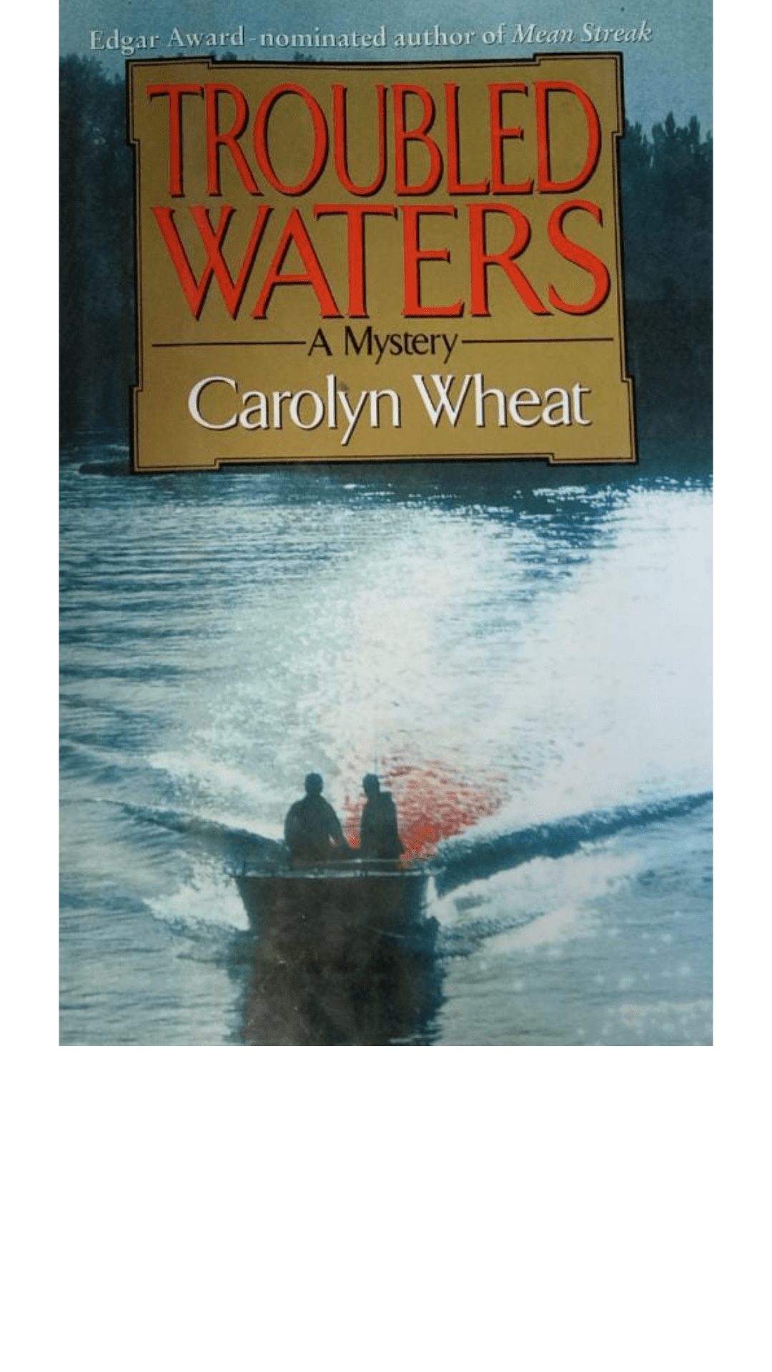 Troubled Waters by Carolyn Wheat