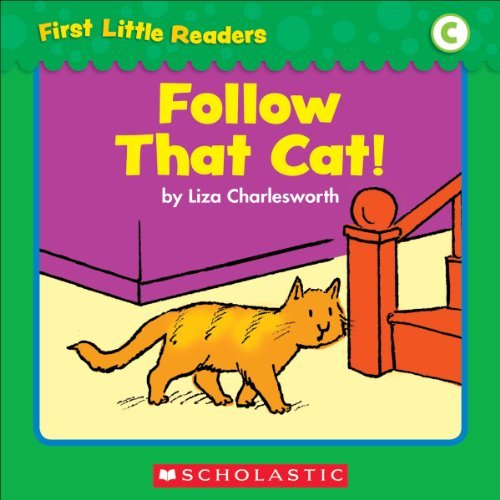 Follow That Cat! book by Liza Charlesworth