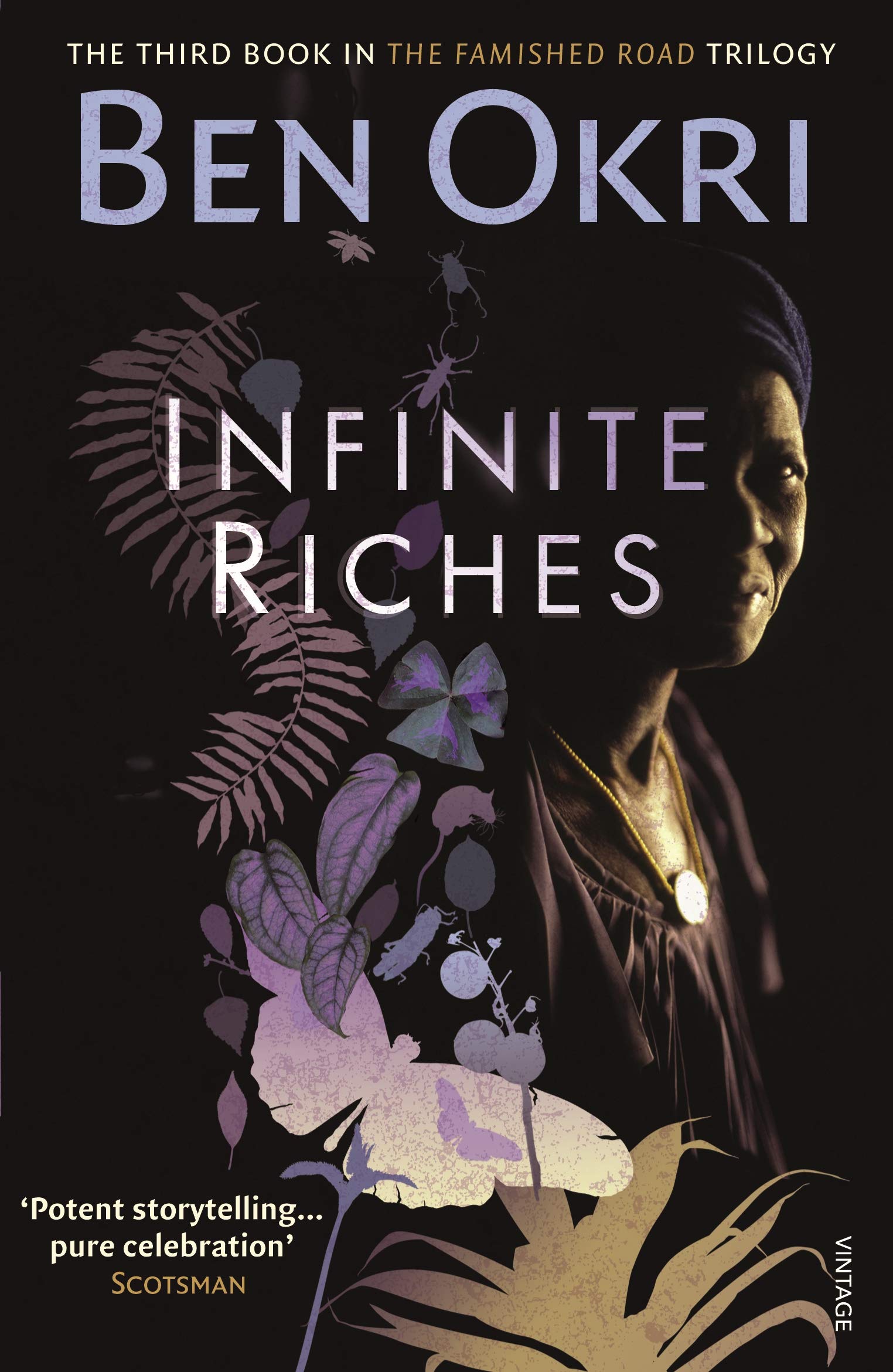 Infinite Riches book by Ben Okri