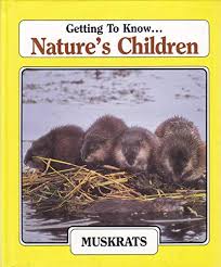 Getting to Know Nature's Children: Muskrats/Salmon
