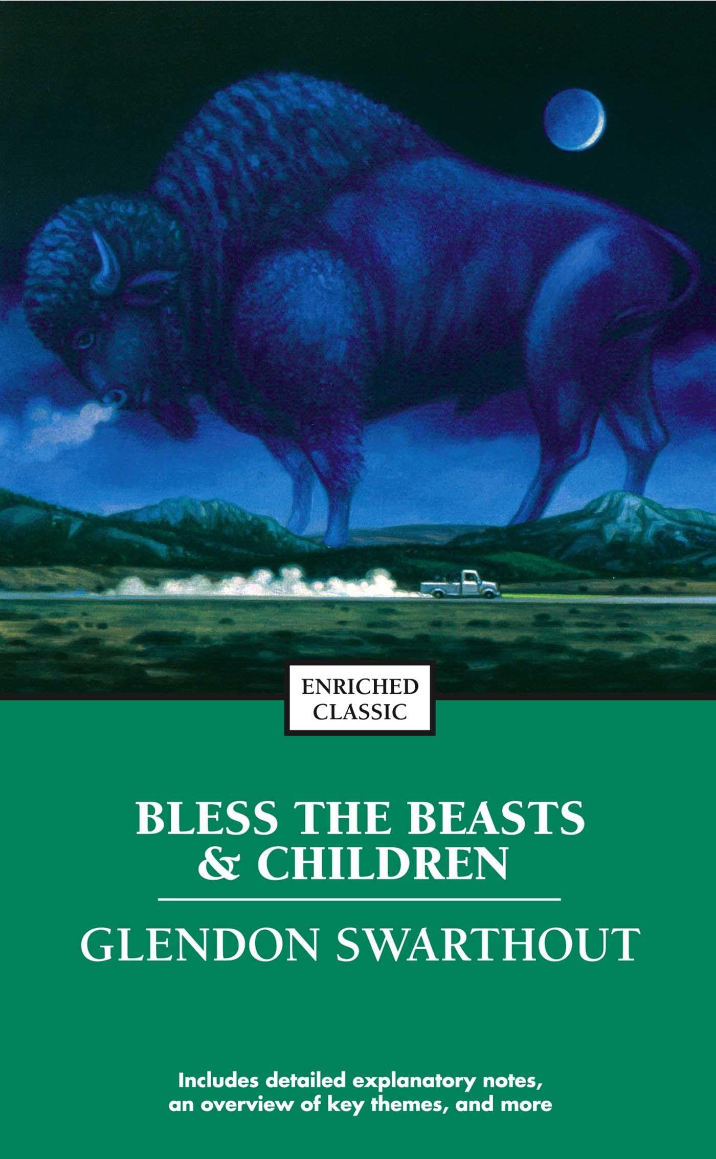 Bless the Beasts and Children book by Glendon Swarthout