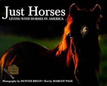 Just Horses : Living with Horses in America