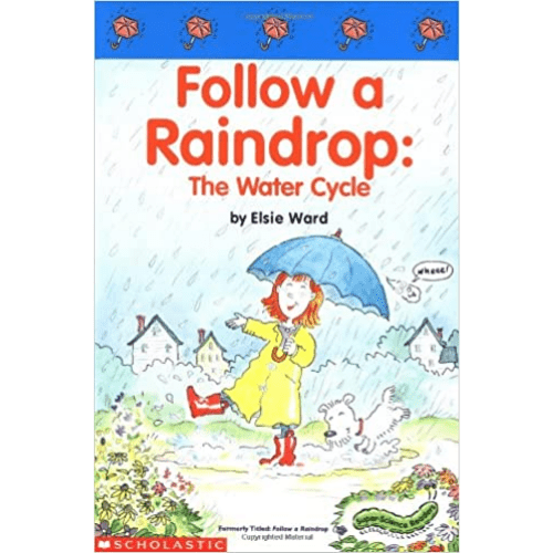 Follow a Raindrop: The Water Cycle