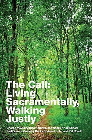 The Call: Living Sacramentally, Walking Justly book by George McClain
