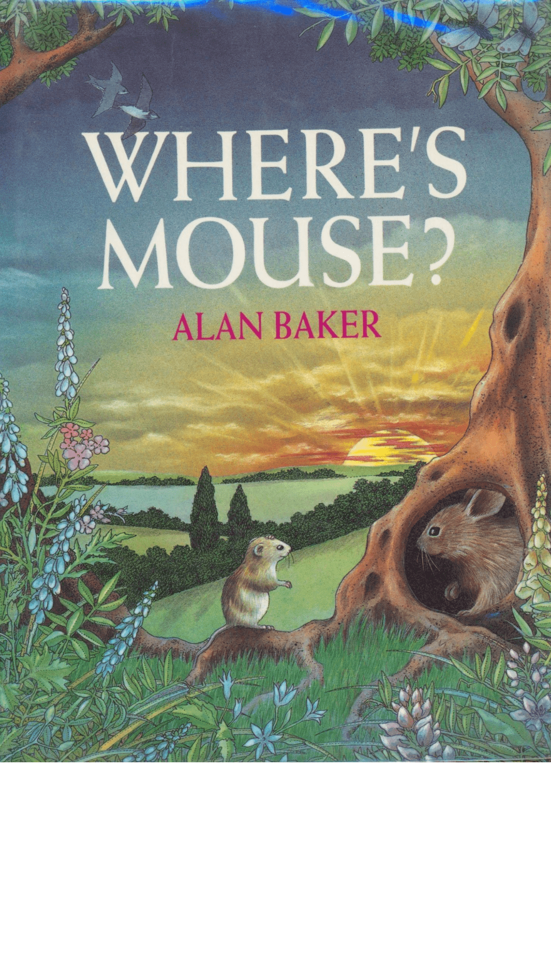Where's Mouse by Alan Baker