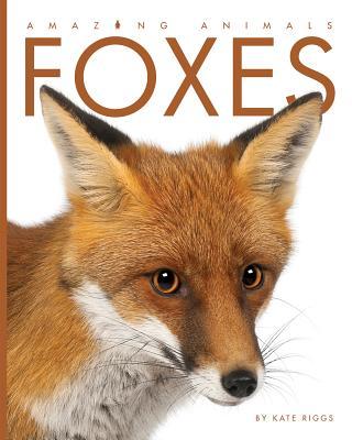 Amazing Animals :Foxes by Kate Riggs