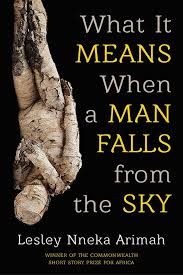 What It Means When a Man Falls from the Sky book by Lesley Nneka Arimah