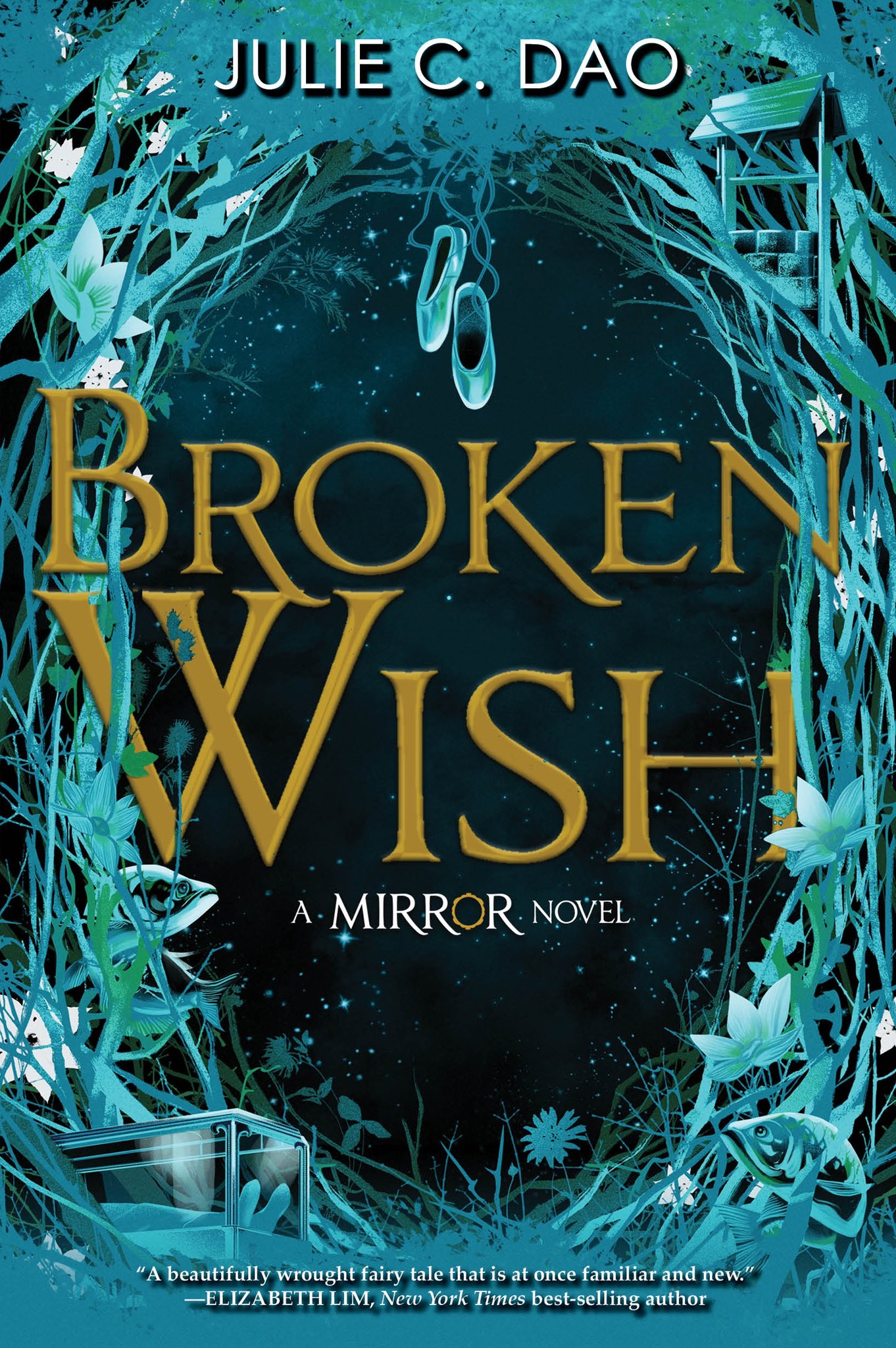 The Mirror #1: Broken Wish book by Julie C. Dao
