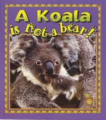 A Koala is Not a Bear! book by Hannelore Sotzek