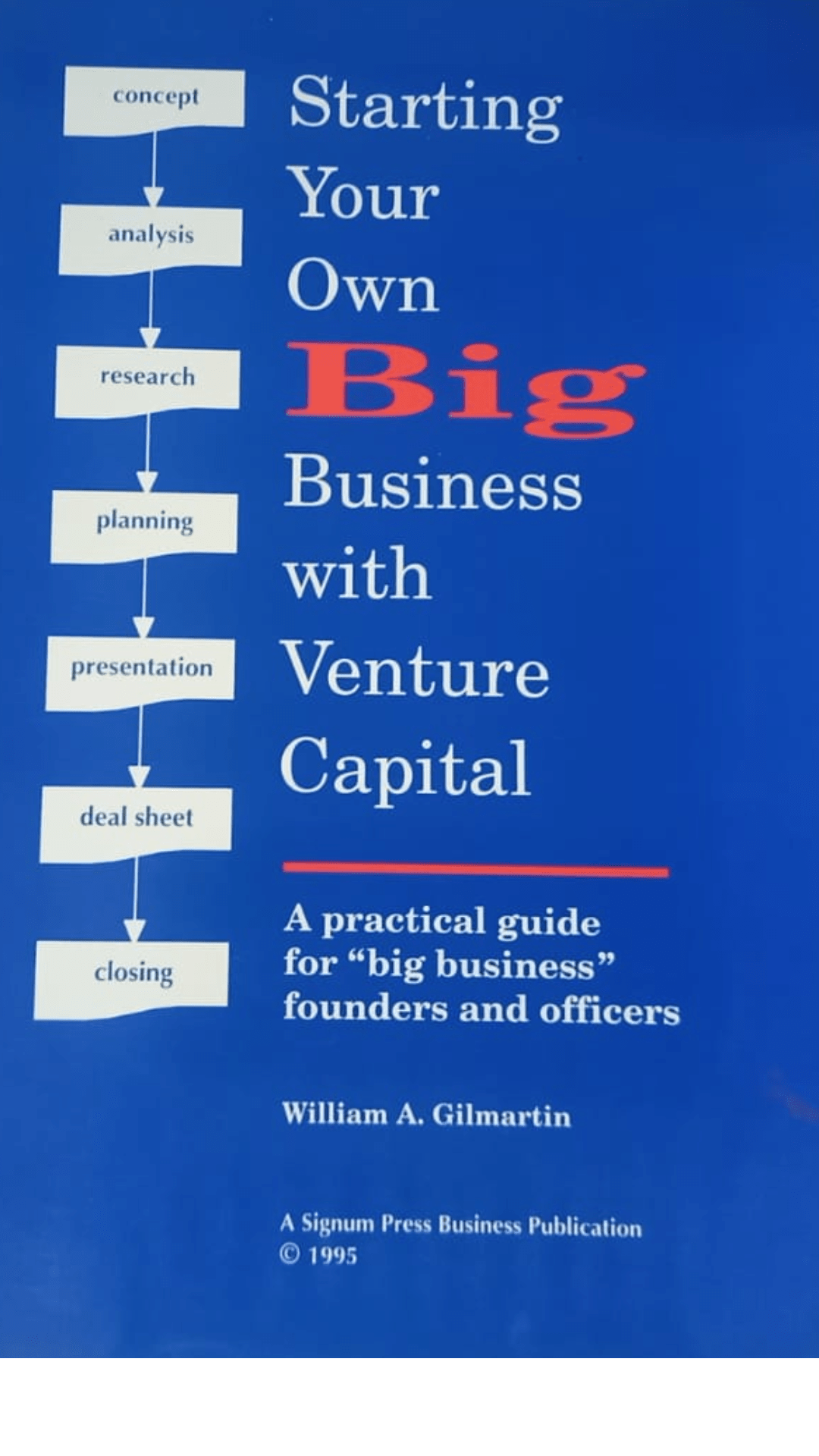 Starting your own Big Business with Venture Capital