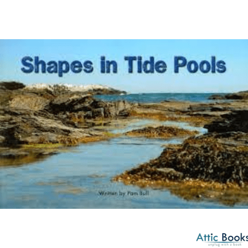 Shapes in tide pools