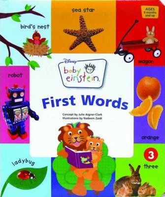 Baby Einstein: First Words (Board books)