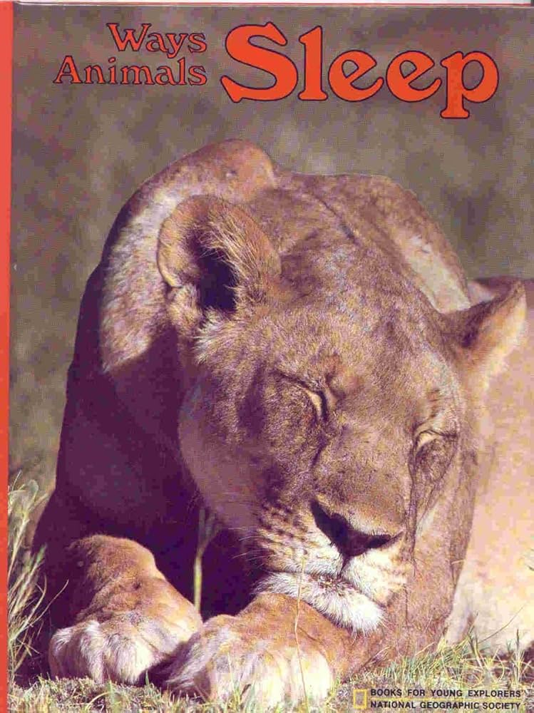 Ways Animals Sleep book by Jane R. McCauley