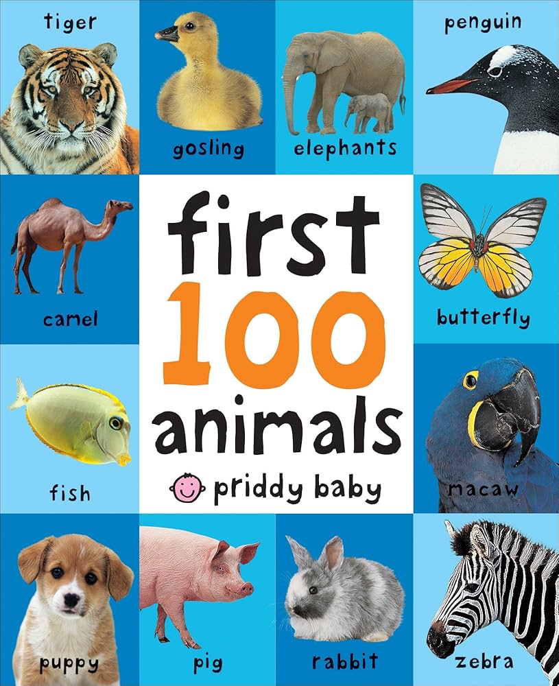 First 100 Animals book by Roger Priddy (Board BOok)