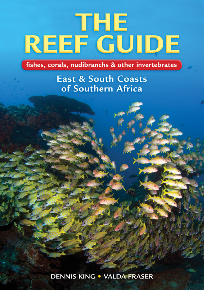 The Reef Guide: Fishes, corals, nudibranchs and other invertebrates: East and South Coasts of Southern Africa book by Dennis King