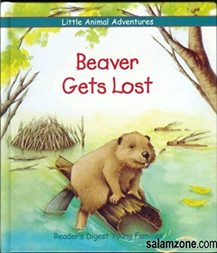 Beaver Gets Lost (Little Animal Adventures)