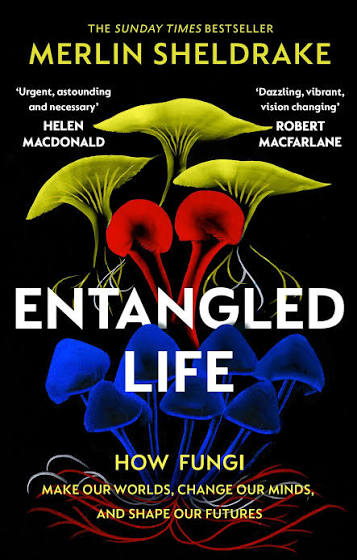 Entangled Life: How Fungi Make Our Worlds, Change Our Minds & Shape Our Futures book by Merlin Sheldrake