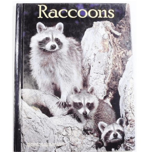 Raccoons (National Geographic Kids)