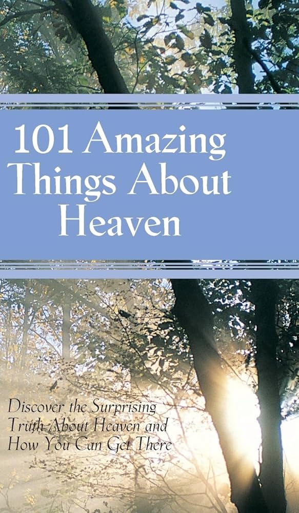 101 Amazing Things about Heaven book by Robin Schmidt