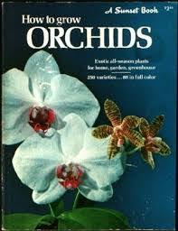 How To Grow Orchids - Exotic All-season Plants For Home, Garden, Greenhouse