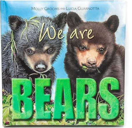 Look, We Are Bears by Yoyo Books(Board Book)