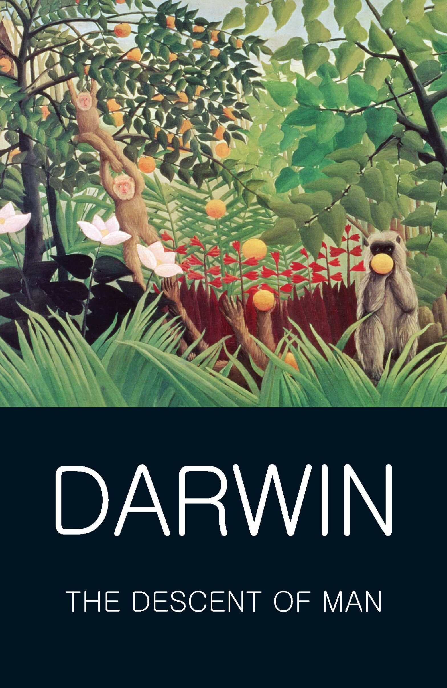 The Descent of Man book by Charles Darwin
