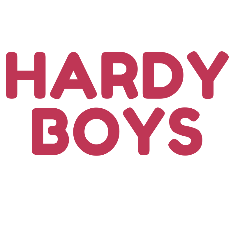 10 Hardy Boys Book Collection