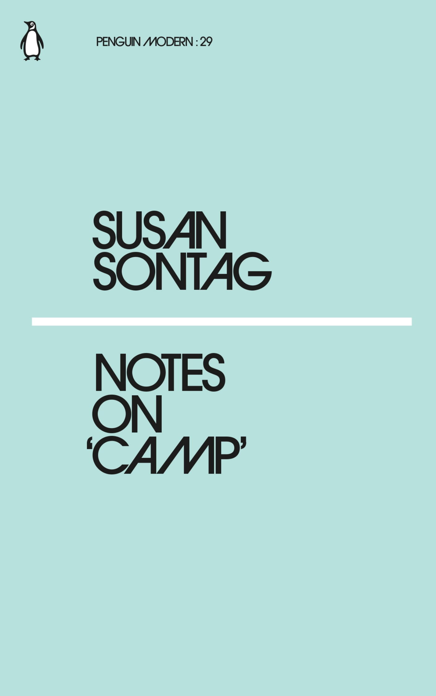 Notes on Camp book by Susan Sontag
