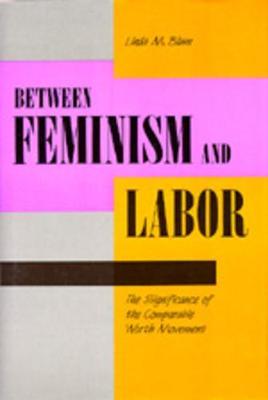 Between Feminism and Labor : The Significance of the Comparable Worth Movement