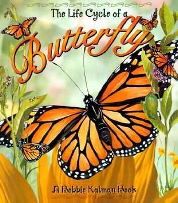 The Life Cycle of the Butterfly