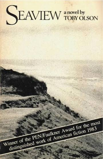 Seaview book by Toby Olson