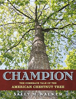 Champion: The Comeback Tale of the American Chestnut Tree Book By Sally M. Walker