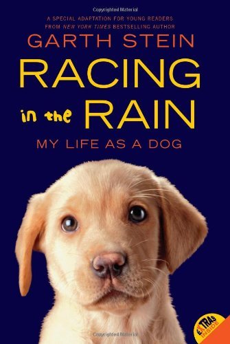 Racing in the Rain book by Garth Stein
