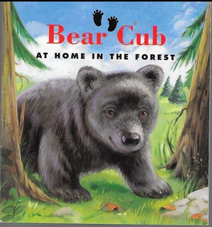 Bear cub: At home in the forest book by Sarah Toast