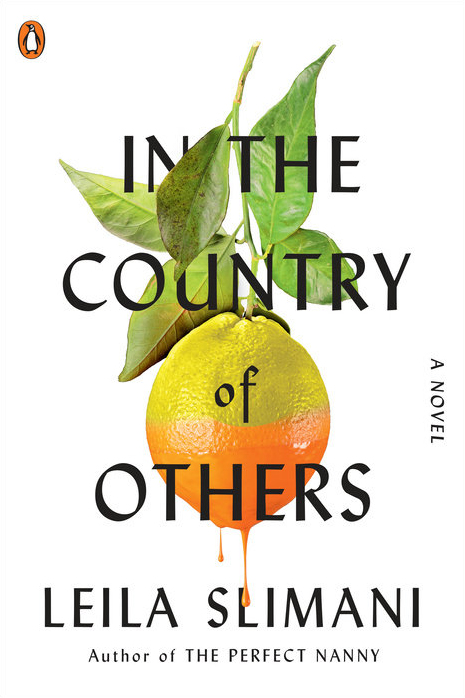In the Country of Others book by Leila Slimani