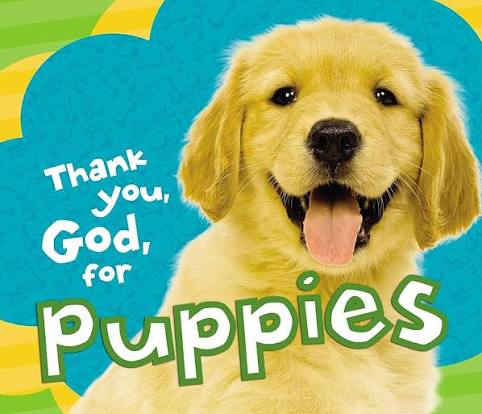 Thank You, God, for Puppies book by Thomas Nelson (Board Book)