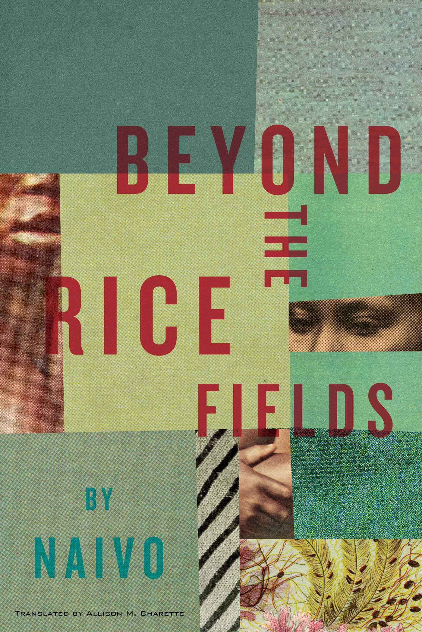 Beyond the Rice Fields book by Naivo