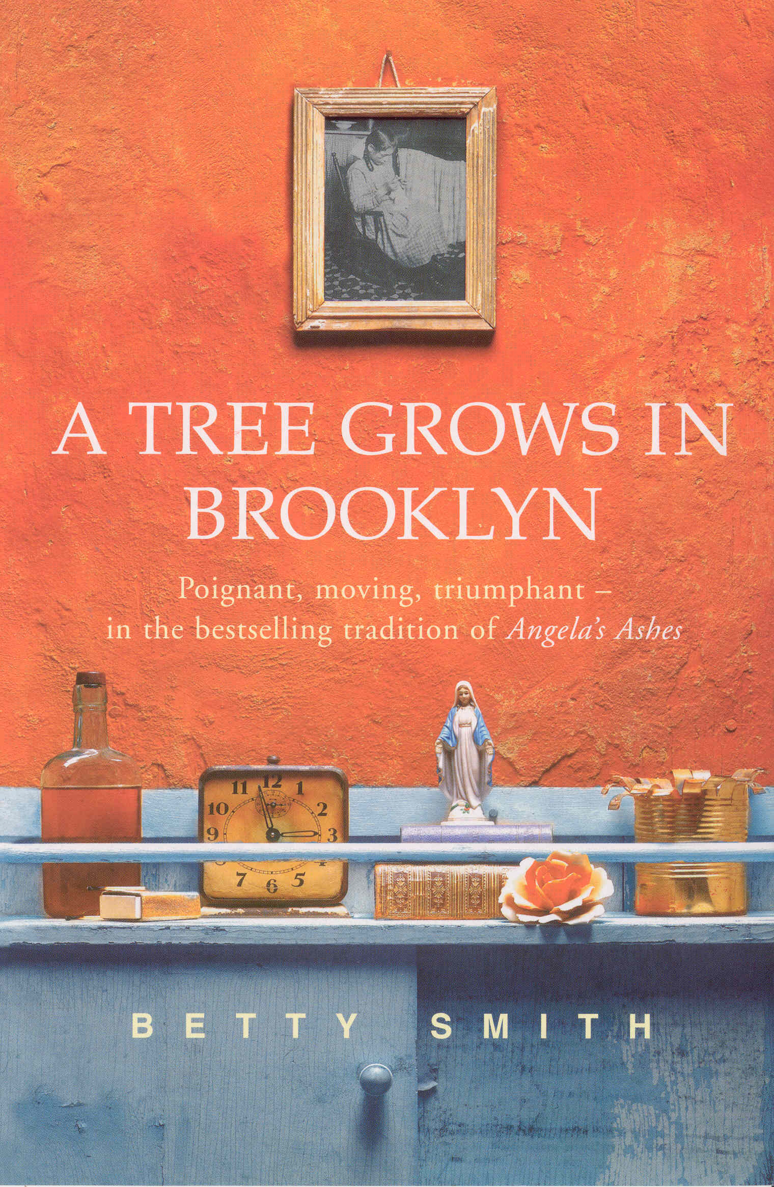 A Tree Grows in Brooklyn book by Betty Smith