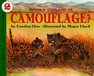 What Colour is Camouflage?