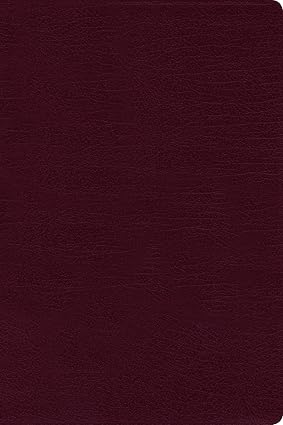 NIV, Reference Bible