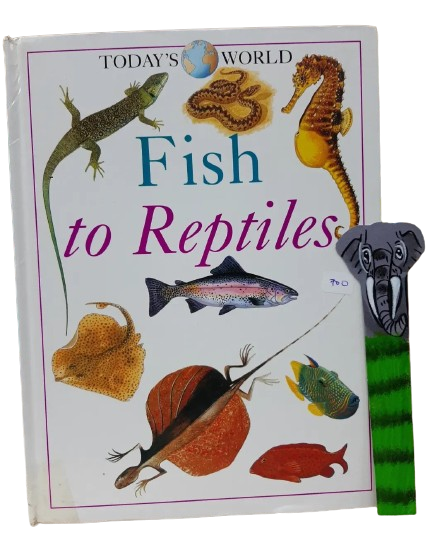 Fish to reptiles (Today's world) book by Lionel Bender