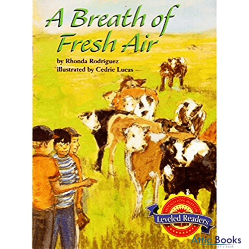 A Breath of Fresh Air (Houghton Mifflin Reading Leveled Readers)