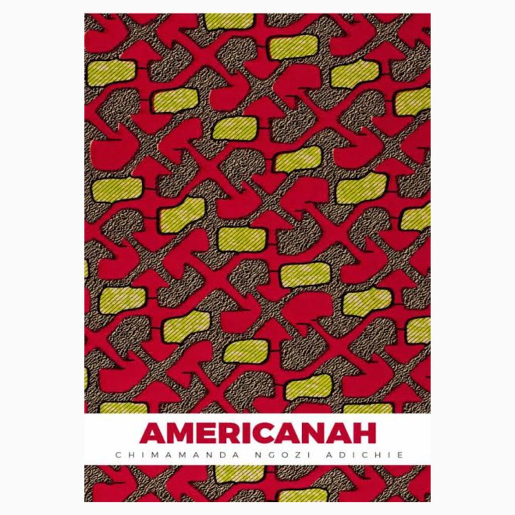 Americanah book by Chimamanda Ngozi Adichie