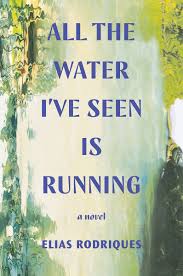 All the Water I've Seen Is Running: A Novel by Elias Rodriques