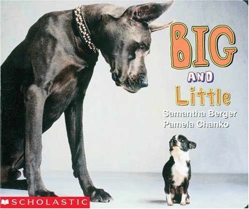 Big and Little (Board Book)